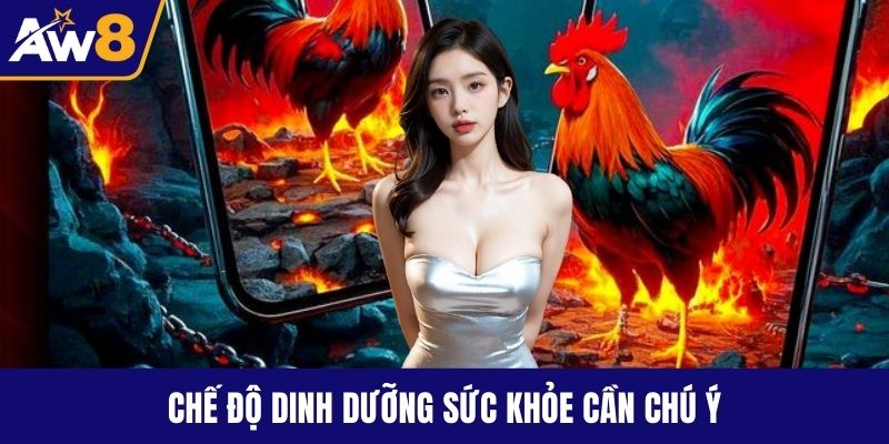 Đá Gà Đòn - Kỹ Năng, Luật Chơi Và Bí Quyết Thắng Lớn Chế độ dinh dưỡng sức khỏe cần chú ý