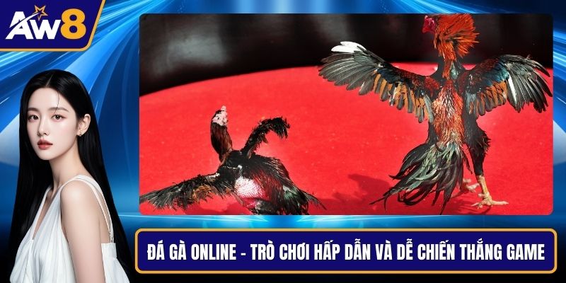 Đá Gà Online - Trò Chơi Hấp Dẫn Và Dễ Chiến Thắng Game Đá gà online