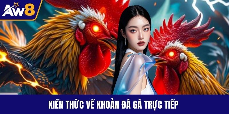 Đá Gà Trực Tiếp Đỉnh Cao – Kịch Tính Không Thể Rời Mắt Kiến thức về khoản đá gà trực tiếp