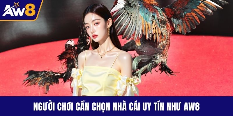 Đá Gà Online - Trò Chơi Hấp Dẫn Và Dễ Chiến Thắng Game Người chơi cần chọn nhà cái uy tín như AW8