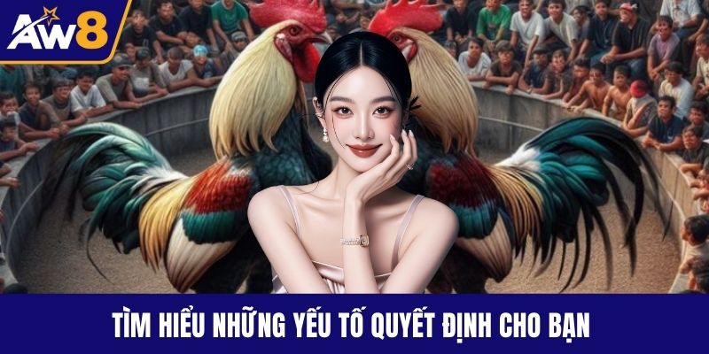 Đá Gà Trực Tiếp Đỉnh Cao – Kịch Tính Không Thể Rời Mắt Tìm hiểu những yếu tố quyết định cho bạn