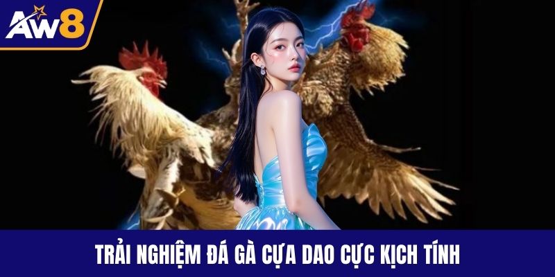 Trải nghiệm đá gà cựa dao cực kịch tính